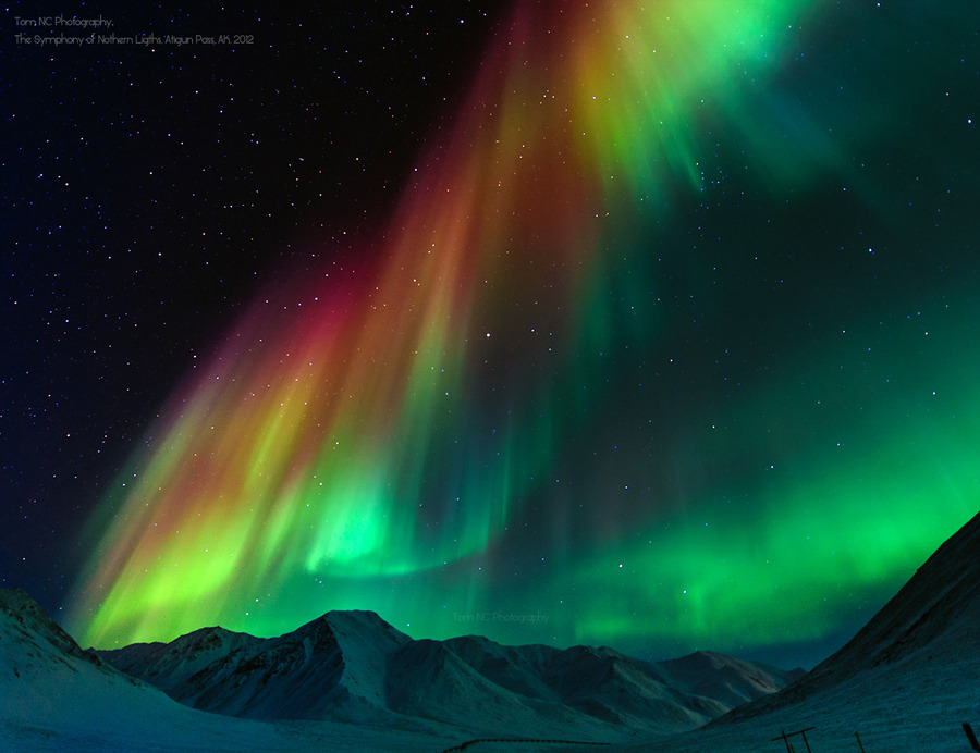 woodendreams:  (by Noppawat Charoensinphon) 