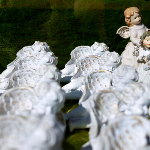 A collection of angel statues. Photograph: Flickr.com/volgar View more Angel Sightings here: 