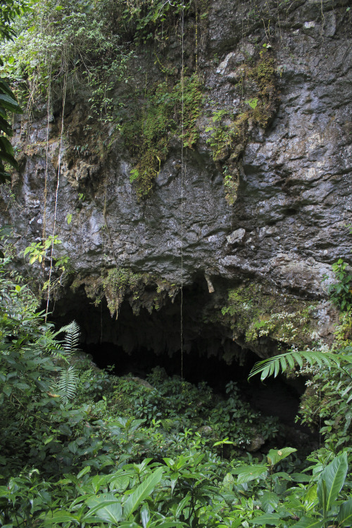 alex-j-hughes:  Exploring caves in Belize, Indiana Jones style