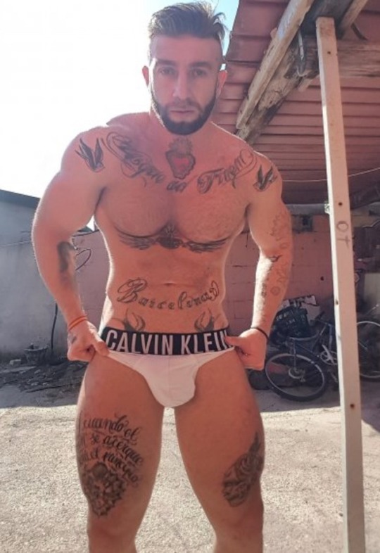 donatoxxx:  Italian Stud 