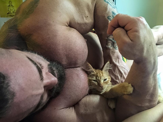 That muscle ass.