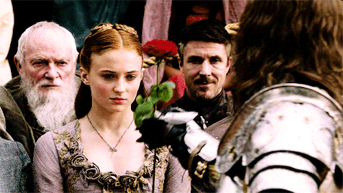 iheartsansa:S01E05 “the wolf and the lion”@ardenrosegarden Anne and Louis?