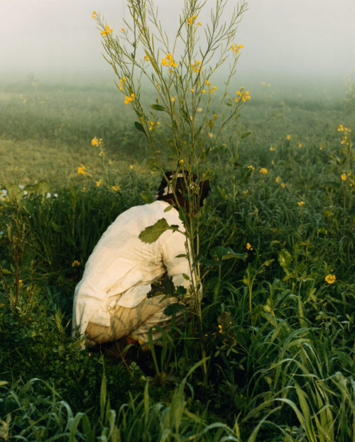 forestgreenlesbian:  The Land of My Father,