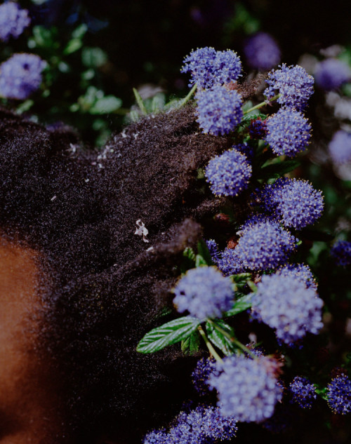 marsthecreative: Sampha for The Fader’s 104 Summer Music Issue June/ July 2016