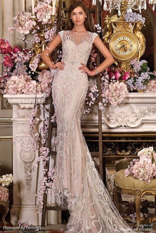 demetrios platinum 2018