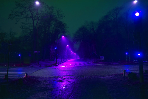 purple lights