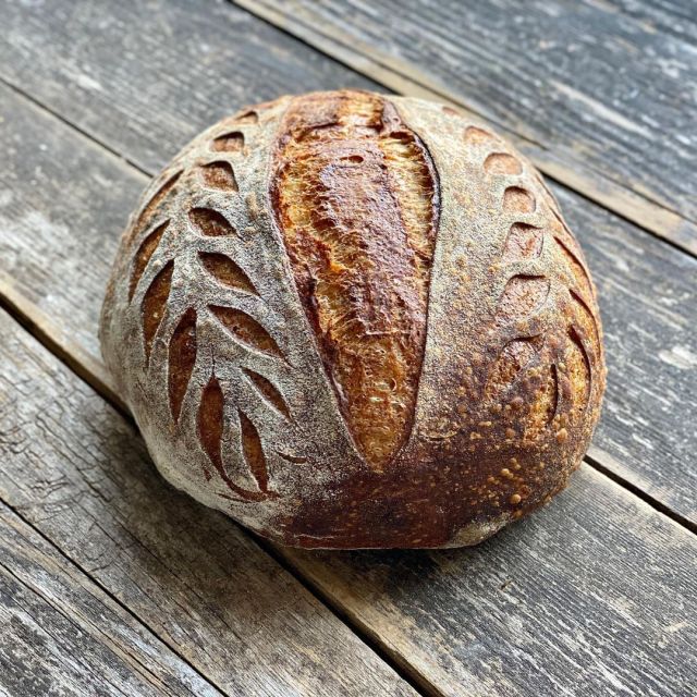 justbread.de #bread#baking#food#cottagecore#sourdough#levain#campagne#loaf#trypo -#scoring
