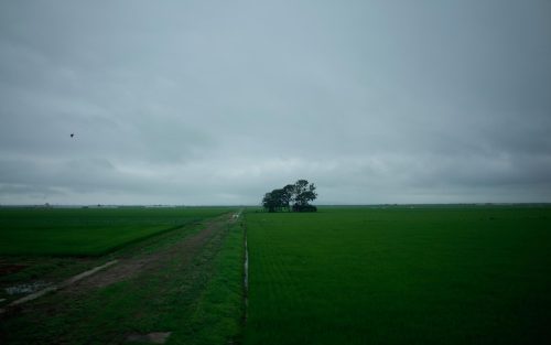 araiwatal:  SCENERY SEEN FROM A TRAIN WINDOW   THE NORTHEASTERN AREA車窓 東北 #69Ou Main Line 奥羽本線Hachirogata 八郎潟 https://plus.google.com/b/105927364264306621006/collections 