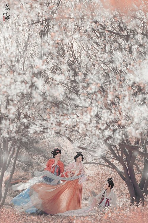 dressesofchina: photographer:摄影师蝈蝈小姐 Traditional Chinese Hanfu.