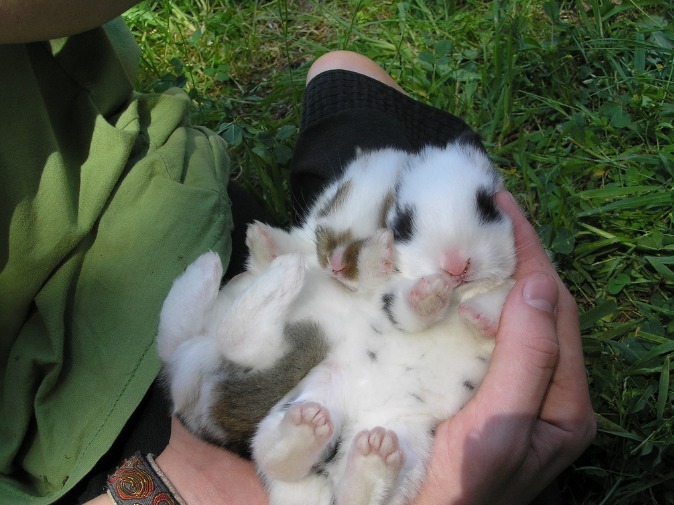 perfsicle:  the little feet tho 