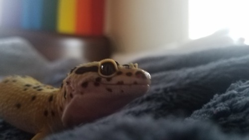 crickndip:o big dummby.. how i lov u so.