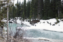matchbox-mouse:  Looking over the river.Alberta,