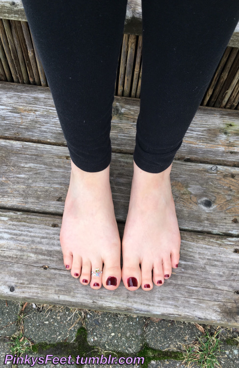 pinkysfeet: Dark red and toe ring.