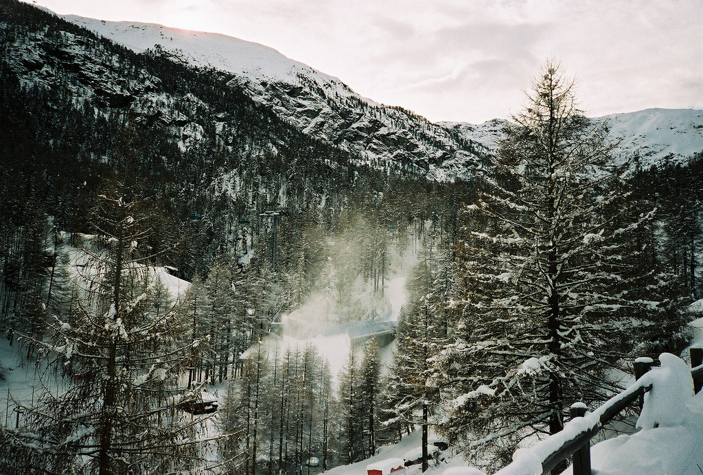 adorus:  (by Joana Salta) 
