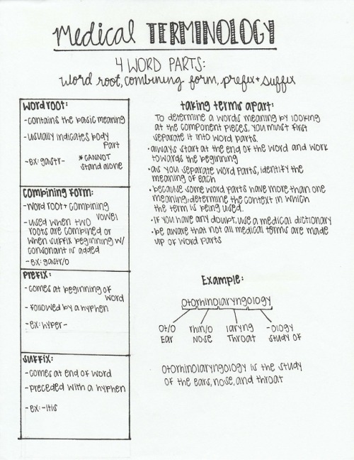 Day 1 Med Term notes!Med term was my favorite class from the beginning. Never underestimate what a g