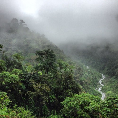 brendanhoffman:  In the mountains above Bucay, #Ecuador. #latergram #rainforest