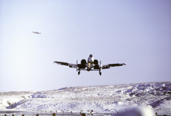 neffelo:  bloodymagnum:  Fairchild Republic A-10 Thunderbolt II / Warthog   The A-10 is being used during exercise Cool Snow Hog ‘82-1. Photographer’s Name: SSGT Bill Thompson. Location: KOTZEBUE AIR STATION. Date Shot: 3/8/1982. Date Posted: unknown.