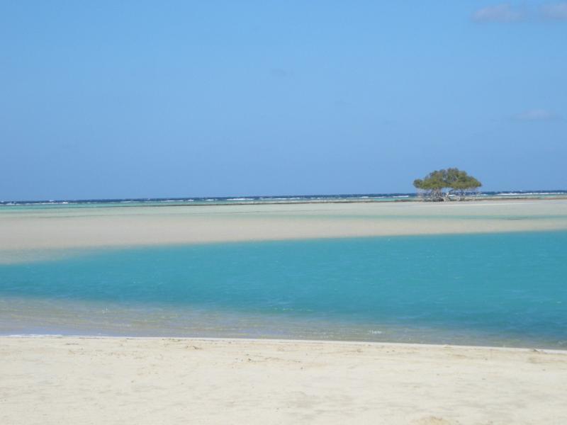sharmelsheikh-egypt:Marsa Alam was just a small fishing village on the west coast