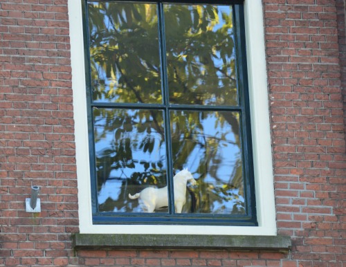 Amsterdam Windows 06