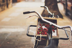 ninasclicks:  Strawberry bike on Flickr. 