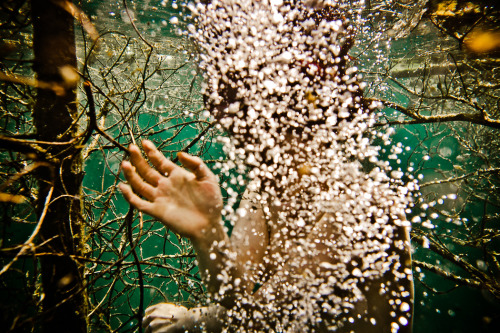 theonlymagicleftisart:Underwater Photography by Neil CraverTumblr | Facebook | WebsiteTo subscribe t