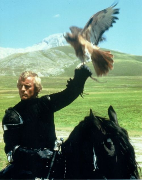 minim-calibre:rutgerhauer-favoriteactor:Rutger Hauer as a medieval knight in one of the best fantasy