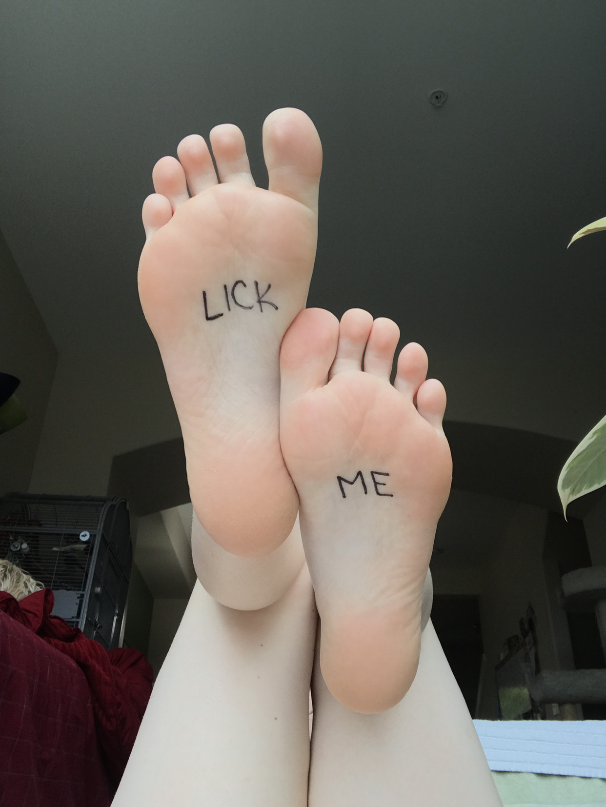 feetseekah:Would you?