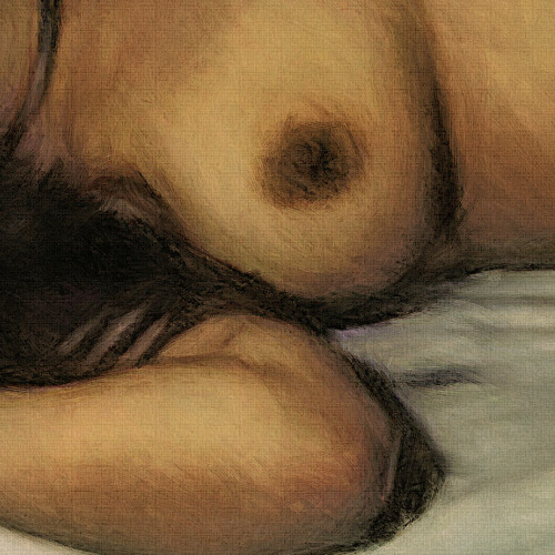 pea-girl:  vanfullersublime:Indian OdalisqueHere’s my third painting of the beautiful Sho, this time from a photo by Raphael Haile.  this is lovely! Thank you! 