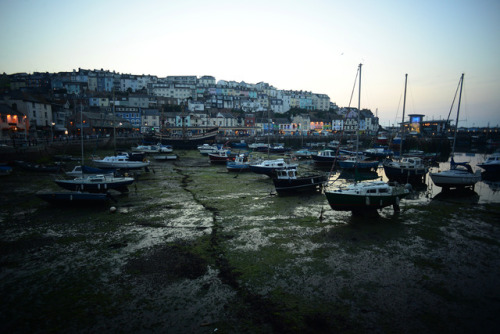 Harbour at low tide