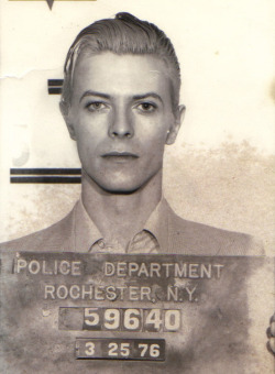 candymacaron:  Can we just talk about David Bowie’s mugshot for a second. His Mugshot. How. How is this level of photogenic-ness even possible? There is a reason my friend and I coined the expression, “And may all your photo’s be as beautiful as