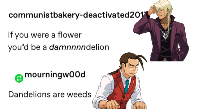 A tumblr post reading “if you were a flower you’d be a dammnnndelion”, with the reply “dandelions are weeds”. Klavier Gavin has been photoshopped over the original post. Apollo Justice has been photoshopped over the reply.