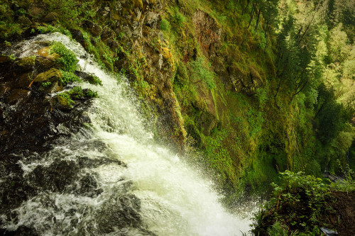 dyspnoeic:Top of Multnomah Falls | Oregon