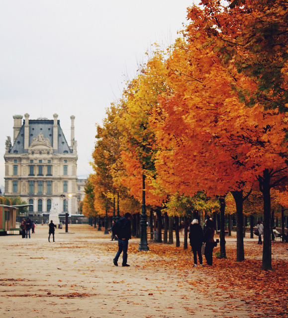 timefliestoday:  jardin des tuileries www.8ruecaffarelli.com by 8rueCaffarelli on