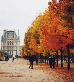 timefliestoday:  jardin des tuileries www.8ruecaffarelli.com