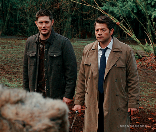 spn 13x14