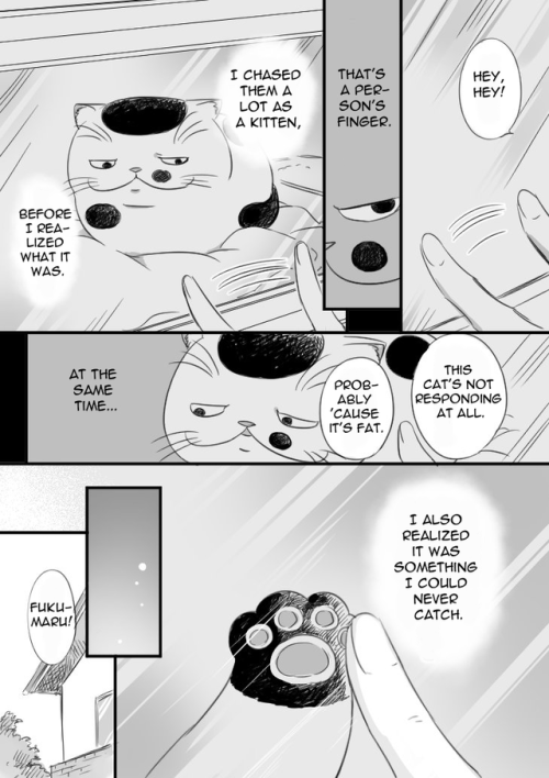 crouching-mouse: Chapter 15 - Fukumaru & the Cat Toy   First || Previous || Next    Chapter 15 of “Gentleman & Cat”, by Umi Sakurai. Translation and scanlation editing by me. You can read the original on the author’s Twitter, and it’s