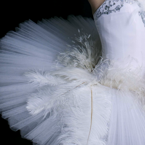  Costume Design of Black Swan Swarovski crystal, renowned for its sparkling and alluring properties, is used to juxtapose the dark, dramatic costumes and sets which illustrate this chilling tale of a prima ballerina striving for perfection. 