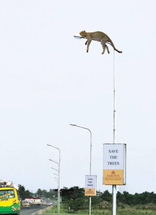femininefreak:  Clever conservation campaign in Nairobi, Kenya.