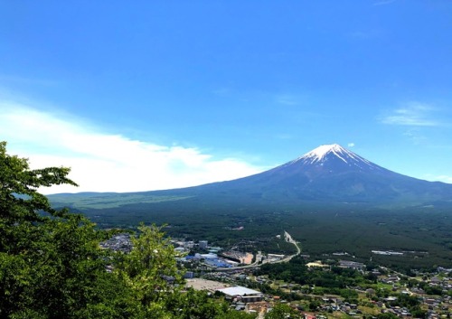 kobaltfoto: Fujisan 富士山 (Mount Fuji)- Fujikawaguchiko by kobalt