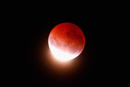 lookatthesefuckinstars: THE BLOOD MOON / lunar eclipse, 4 april 2015.