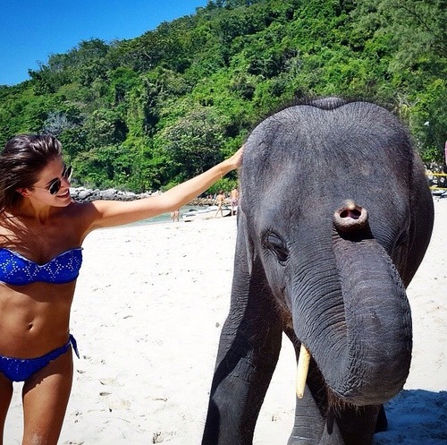 moroccan-elephants:  all-tropical-vibes: porn pictures