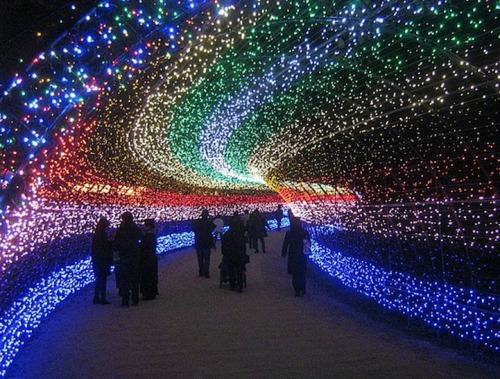 comfortably-lobotomized:  cubebreaker:  Japan’s Nabana no Sato Botanical Garden used over 7,000,000 LED lights to create this amazing tribute to nature featuring displays of rainbows, auroras, and Mt. Fuji.  whoa.. 