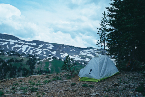 Grand Teton National Park, July 2016Canon EOS Rebel Ti : Sigma 24-60mm  //  Ektar 100@paraxellum​   