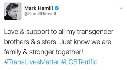 i-am-an-iron-fan:BLESSED POST. REBLOG TO LET EVERY TRANS PERSON KNOW THAT LUKE SKYWALKER KILLS TERFS