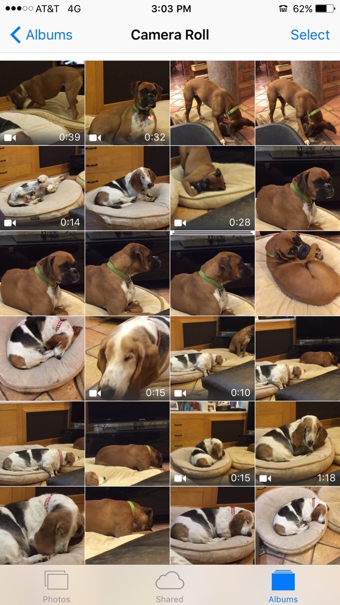 topcatbegins:  iPhone: your storage is almost full!  Me: oh I wonder why— Iphone:
