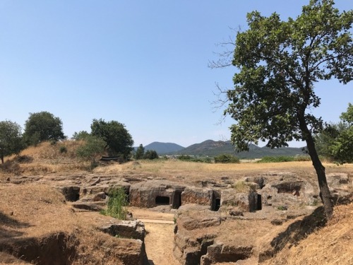 thecrankyprofessor:Cerveteri - the ancient Etruscan necropolis. The site was almost empty of other v