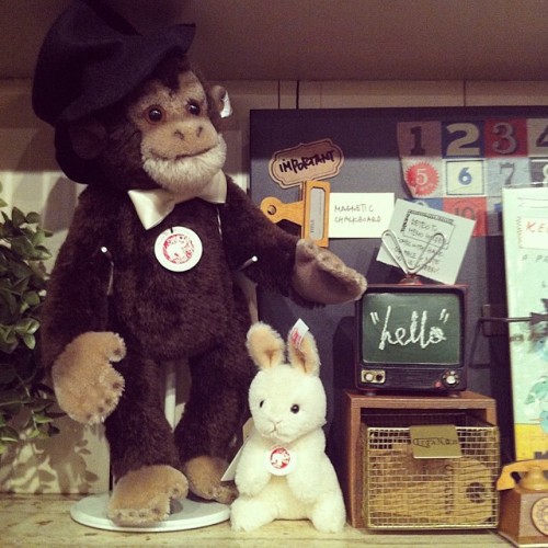Step right up! Meet Frederic the chimpanzee and his trusty partner Diva the rabbit! Saying a big HELLO to all! And, yes! All of them Steiff limited edition collectibles are for sale, here at woodwould! :) (at .woodwould..)