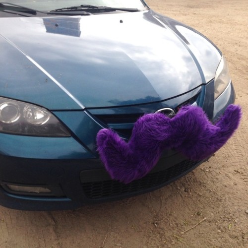 #moustacheride #yeg #walkingdeadmonton #whyteave #fuzzypurple