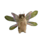 dollipedia