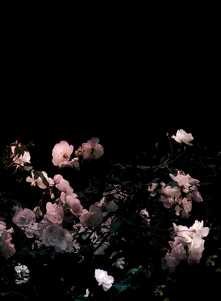 BΛTHSΛLTS